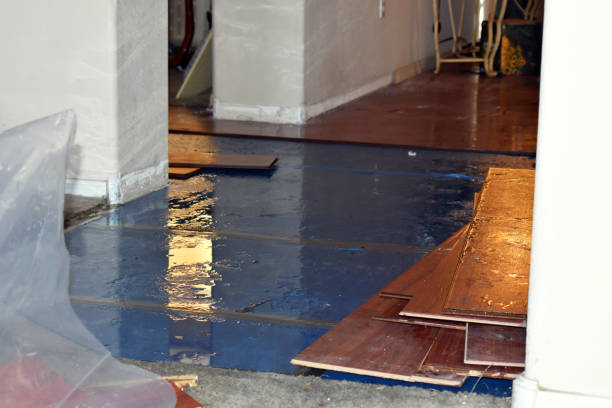 Professional Water Damage Restoration technician working in Davenport, CA